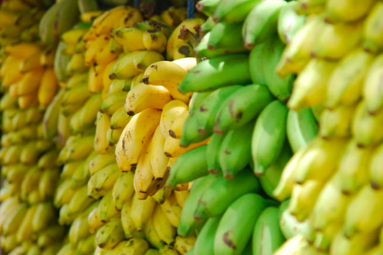 pisang, pohon pisang, 5 Bagian Pohon Pisang yang Bisa Dimakan Selain Buahnya