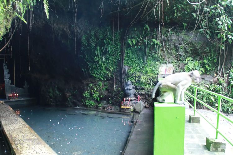 Posong, wisata, Temanggung, wisata alam, 5 Rekomendasi Wisata Alam di Sekitar Posong Temanggung untuk Berburu Sunrise, 1. Posong, 2. Embung Kledung, 3. Gunung Sindoro, 4. Sigandul View, 5. Sumber Mata Air Umbul Jumprit