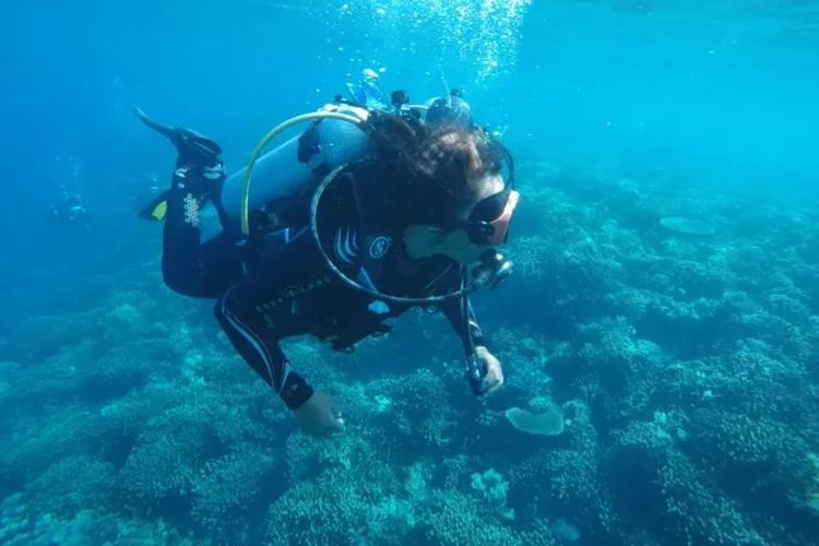 wisata, Labuan Bajo, Bajo, Taman Nasional Komodo, Liburan ke Taman Nasional Komodo, Ini Tips Aman Memilih Agen Travel