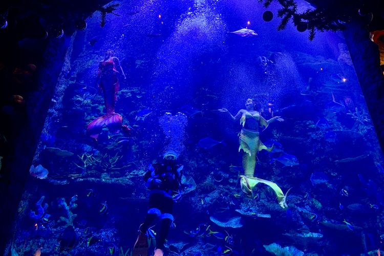 Ada Pertunjukan Sinterklas di Bawah Laut BXSea Bintaro, Cek Jadwalnya