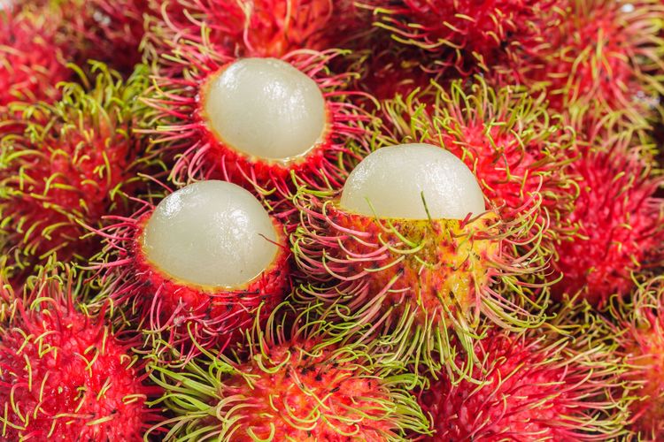 musim rambutan, 2025, Buah rambutan, panen rambutan, rambutan berbuah, Musim Rambutan Jatuh di Bulan Apa? Ini Jadwal Panen Buahnya!