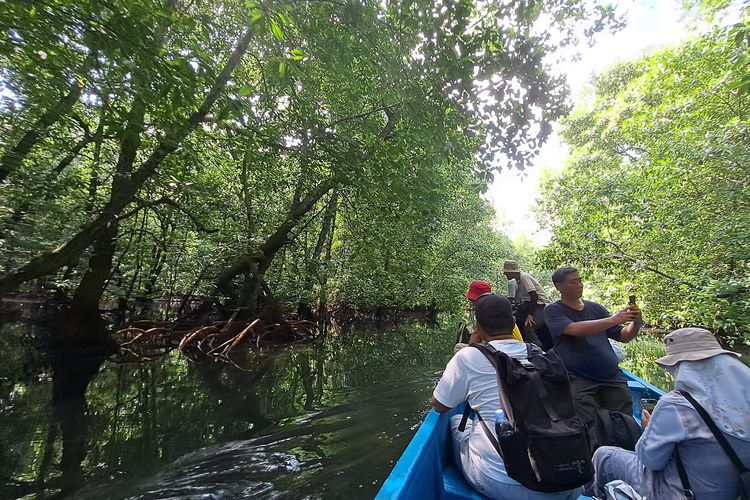 HALMAHERA BARAT, Desa Talaga, Halmahera Barat, Pancora Beach, wisata halmahera barat, pancora beach, wisata jailolo, desa talaga, Menyusuri Desa Talaga Halmahera Barat, Pesona Mangrove dan Gamkonora dalam Sekali Trip