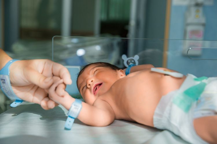 nama anak, nama bayi, nama anak perempuan, ide nama bayi, ide nama anak, nama anak jepang, nama anak jepang perempuan, nama anak jepang laki laki, nama anak laki laki, Nama Anak Paling Populer di Jepang 2025, Penuh Makna Bisa Jadi Inspirasi, 1. Ao (biru), 2. Minato (pelabuhan), 3. Haruto (terbang dengan cahaya cerah), 4. Asahi (matahari pagi), 5. Ren (teratai), 1. Sui (hijau), 2. Himari (bunga hollyhock cerah), 3. Rin (anggun dan tegas), 4. Mei (tunas dan pakaian), 5. Hina (tanaman yang cerah)