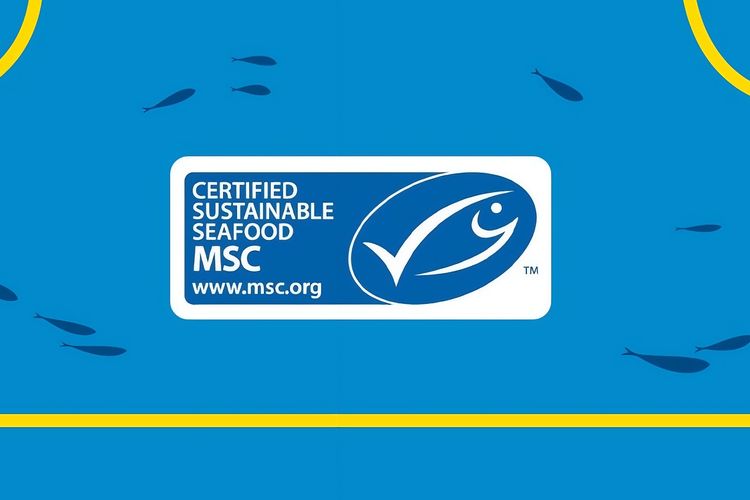 ikan bersertifikat MSC, Belum Banyak Dikenal, Apa Itu Ikan Bersertifikat MSC?