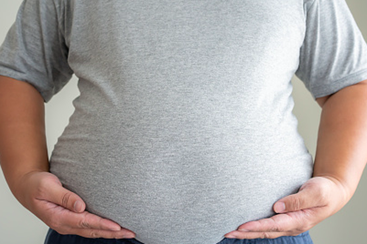 obesitas, ahli gizi, obesitas di Indonesia, Pedoman Nasional Praktik Kedokteran Obesitas, PNPK Obesitas, kasus obesitas di indonesia, penanganan obesitas, Apa Itu PNPK Obesitas? Panduan Baru Dokter untuk Kendalikan Obesitas