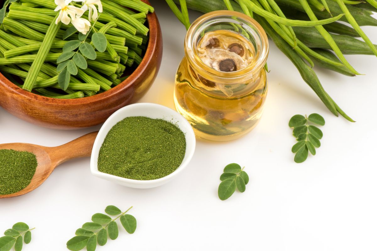 manfaat daun kelor, minuman herbal rumahan, cara olah daun kelor, cara olah daun kelor untuk kesehatan, cara olah daun kelor menjadi bubuk, cara membuat teh kelor, Cara Olah Daun Kelor Jadi Teh Herbal Berkhasiat, Cukup 1 Bahan, Khasiat Daun Kelor untuk Kesehatan, Cara Olah Daun Kelor Jadi Teh Hangat, Cara Menyeduh Teh Daun Kelor, Tips Agar Teh Kelor Lebih Nikmat
