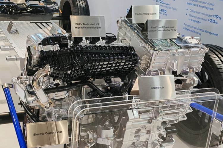 konsumsi BBM, Perjalanan Sejauh 150 Km, Segini Konsumsi BBM BYD M6 DM