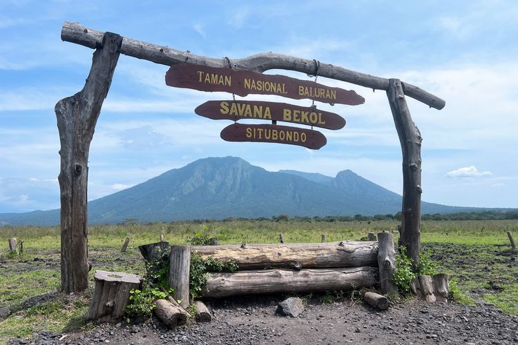 TN Baluran, Taman Nasional Baluran, harga tiket masuk tn baluran, HTM Baluran, Harga Tiket Masuk TN Baluran Terkini, Hari Kerja dan Libur Beda, HTM wisatawan nusantara, HTM turis asing, Kendaraan roda 2, Kendaraan roda 4, Kendaraan roda 6
