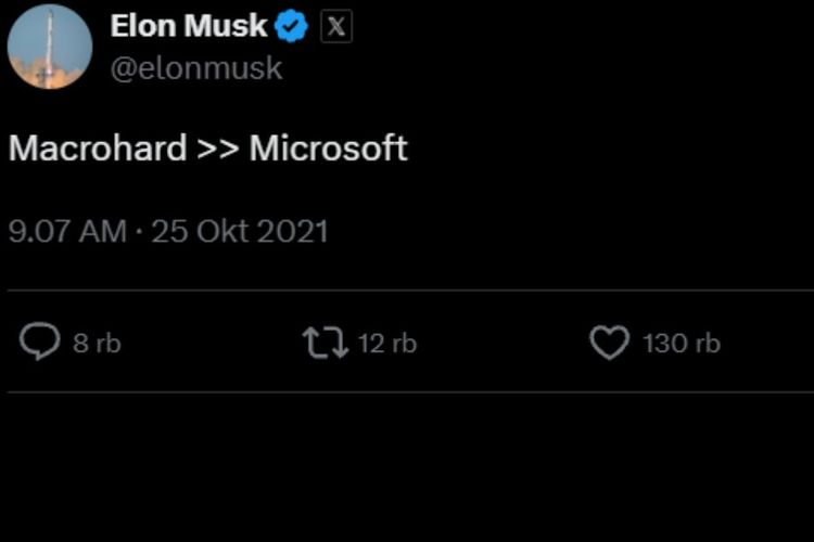 Elon Musk, Microsoft, Tesla, SpaceX, persaingan dagang, Tantang Microsoft, Elon Musk Dirikan MacroHard?