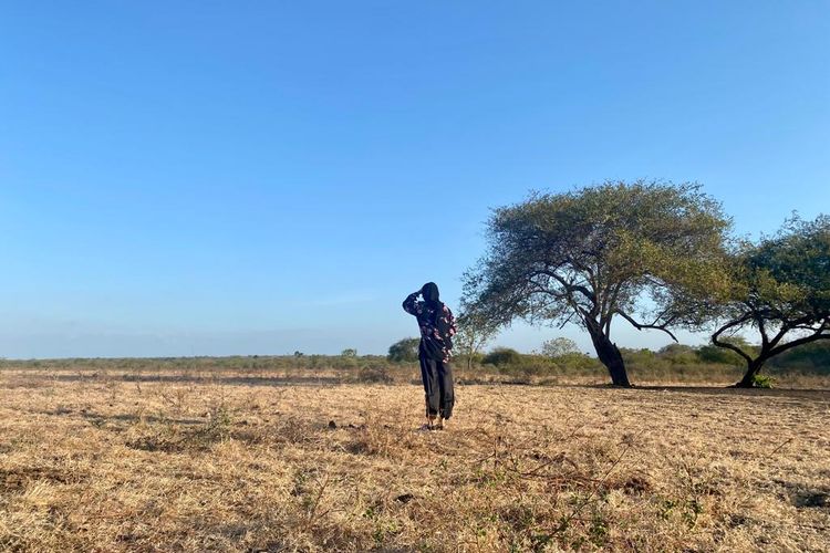 Baluran, taman nasional, Jawa Timur, Panduan Wisata Taman Nasional Baluran, Liburan seperti di Afrika, Flora dan fauna, Destinasi utama: bekol dan bama, Rekomendasi berburu foto, Tips penting