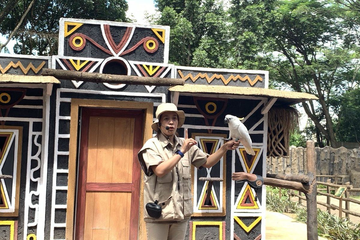 Hari Jadi Bogor ke-543, tempat wisata bogor, promo Hari Jadi Bogor 2025, promo Taman Safari Bogor 2025, promo Jungleland 2025, Hari Jadi Bogor ke-543, Ini Daftar Promo Wisata dan Kuliner, Jungleland, Taman Safari, Marcopolo Water Adventure, D’Sawah Resort and Resto, Lapis Bogor Sangkuriang, Tarif Bis