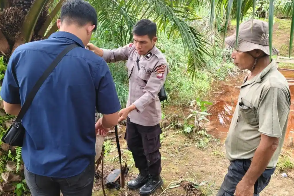 Kapuas Hulu, penembakan di Kapuas Hulu, Penembakan di Kapuas Hulu, Warga Tewas Usai Cekcok Wilayah Berburu, Lokasi penembakan, Polisi sudah mengamankan pelaku, Konflik wilayah berburu jadi pemicu awal, Cekcok berujung adu fisik, Senjata meletus usai terkena pohon sawit, Terduga pelaku melapor ke kepala desa
