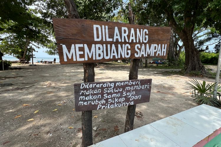 Pantai Bama, Taman Nasional Baluran, TN Baluran, Berkunjung ke Pantai Bama di TN Baluran, Awas Monyet Nakal