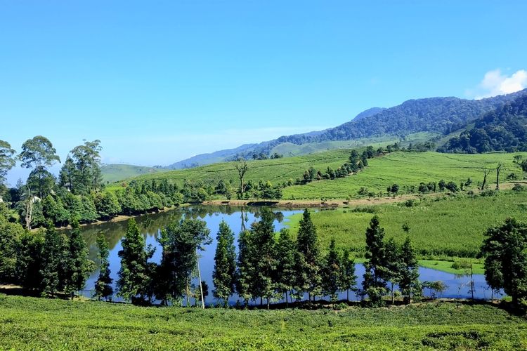 wisata alam Bogor, 8 Wisata Alam Bogor untuk Libur Lebaran, Sejuk dan Seru, 1. Situ Gede, 2. Telaga Saat, 3. Taman Wisata Gunung Pancar, 4. Taman Safari Indonesia, 5. Kebun Raya Bogor, 6. Curug Cilember, 7. Kebun Raya Cibodas, 8. Taman Bunga Nusantara