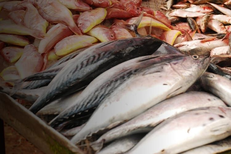 Ikan, ikan, memasak ikan, Memasak ikan, kesalahan memasak ikan, Hindari Kesalahan Ini Saat Memasak Ikan agar Gizi Tetap Terjaga, 1. Menggoreng terlalu lama, 2. Menggunakan bumbu berlebihan, 3. Memasak dengan santan berlebihan, 4. Tidak membersihkan sisik, 5. Memilih ikan yang sudah busuk