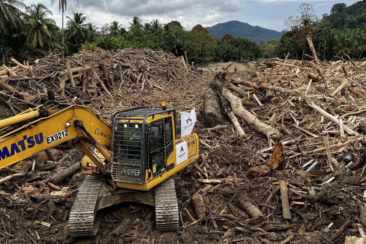 Kemenhut, banjir tapsel, Banjir Tapanuli Selatan, banjir sumatera, banjir sumatra, penyebab banjir sumatera, kayu gelondongan di banjir sumatera, Kemenhut Segel 7 Subjek Hukum yang Diduga Jadi Penyebab Kerusakan Hutan hingga Banjir di Sumut