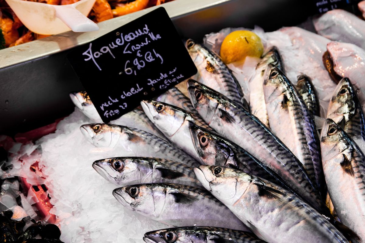 seafood, Seafood, seafood sehat, Seafood sehat, ikan sehat, daftar seafood sehat, Jenis Seafood Sehat yang Mudah Didapatkan di Indonesia, 1. Makarel, 2. Sarden, 3. Kepiting, 5. Kerang hijau, 6. Udang