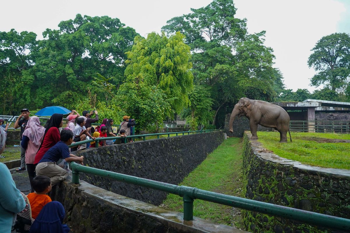 kota tua, Ragunan, museum seni rupa dan keramik, tempat wisata gratis jakarta, tempat wisata lansia, tempat wisata disabilitas, Museum Arkeologi Onrust, 11 Tempat Wisata Gratis di Jakarta untuk Lansia dan Penyandang Disabilitas, Catat Syaratnya!, Taman Margasatwa Ragunan, Pelataran Cawan Monumen Nasional, Museum Seni Rupa dan Keramik, Museum Wayang, Museum Tekstil, Museum Sejarah Jakarta, Museum Bahari, Museum Joang ’45, Museum MH Thamrin, Museum Taman Prasasti, Museum Arkeologi Onrust