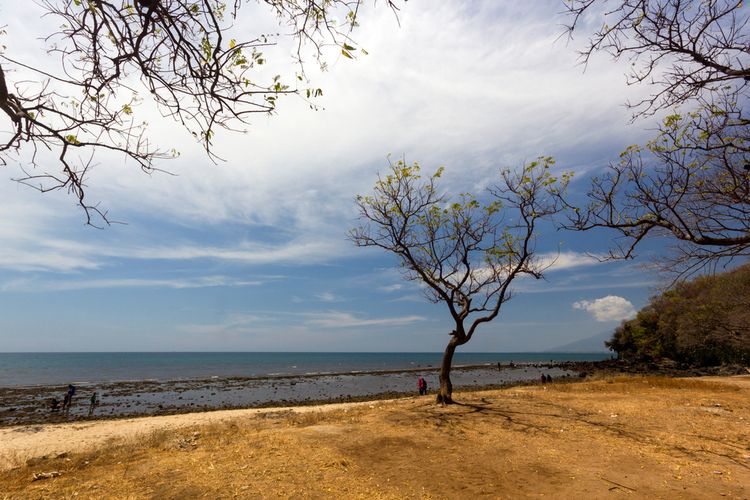 pantai, Situbondo, 5 Pantai di Situbondo yang Punya Pasir Putih dan Pemandangan yang Indah