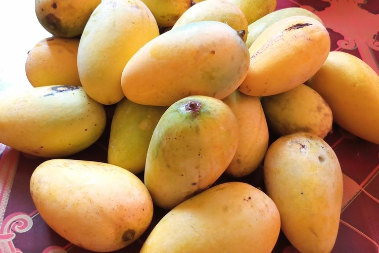 menyimpan mangga, Rahasia Mangga Tahan Lama Disimpan Menurut Peneliti, Perhatikan Suhu