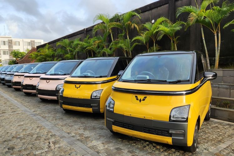 mobil listrik, harga jual kembali, Asosiasi Mobil Bekas Indonesia, Tjung Subianto, Mobil Listrik Baru: Jadi Ancaman bagi Harga Bekas