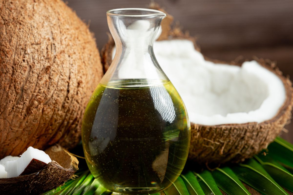 Masker alami rambut, bahan masker alami, Bahan masker alami, masker alami rambut, masker rambut untuk rambut rontok, masker alami lidah buaya untuk rambut, masker rambut yang bagus, 5 Bahan Masker Alami untuk Rambut dengan Berbagai Manfaat, 1. Minyak kelapa, 3. Lidah buaya, 4. Minyak kaktus pir (prickly pear oil), 5. Putih telur