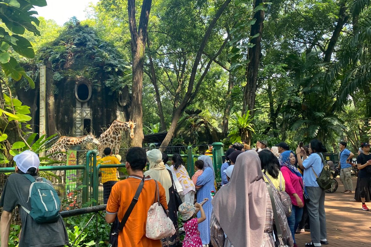 Ragunan, jam buka ragunan, Ragunan Tetap Buka untuk Kunjungan Wisatawan, Jam Operasional Normal