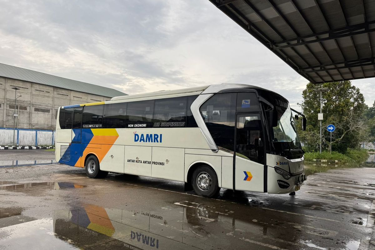 DAMRI, Jakarta-Bali Bisa Naik DAMRI, Cek Harga Tiket, Rute dan Jadwal
