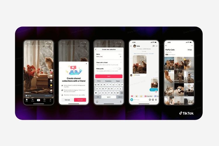 TikTok, Aplikasi, media sosial, Fitur TikTok, TikTok Rilis Fitur Shared Feed, Bisa Nonton Konten Rekomendasi Bareng 
