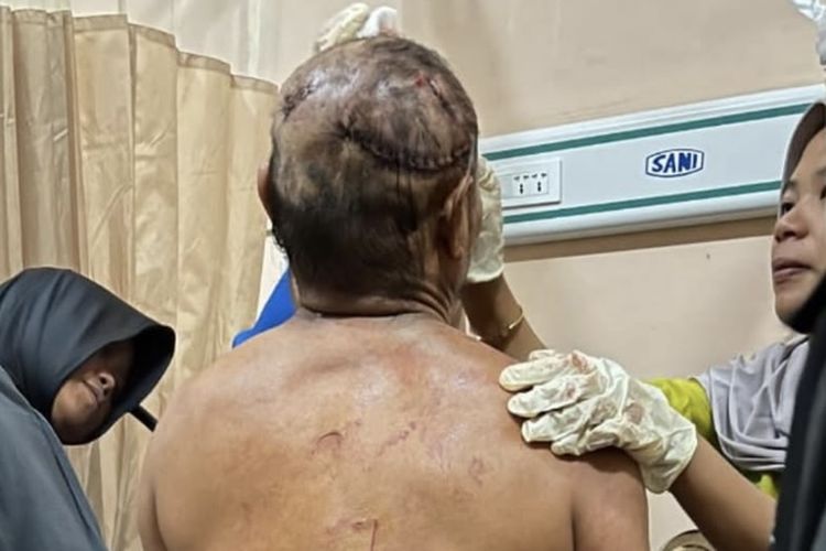 Taman Nasional Bukit Barisan Selatan, harimau sumatera, polda lampung, harimau sumatra, serangan harimau di Lampung Barat, Harimau Sumatra Serang Petani di Lampung Barat, Polisi Imbau Warga Hindari Aktivitas Malam di Hutan