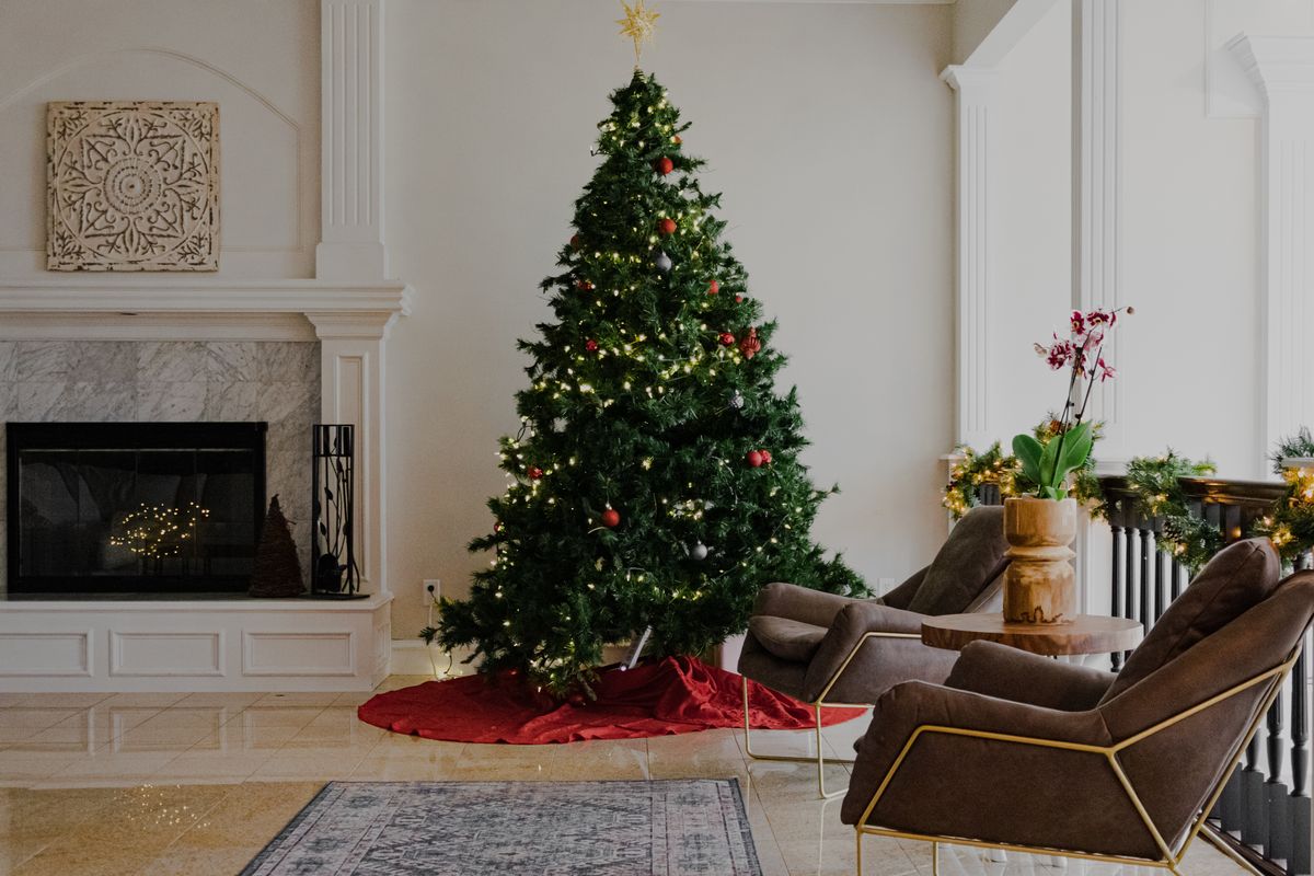 Asal-usul pohon Natal, Sejarah Tradisi Pohon Natal, Mengapa Menggunakan Pohon Cemara?