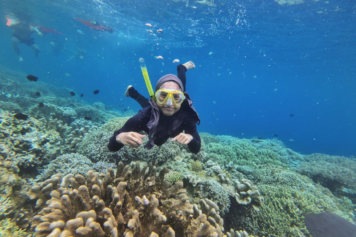 snorkeling di pantai bunaken, snorkeling di bunaken, biaya snorkeling di bunaken, snorkeling bunaken, cara snorkeling di pulau bunaken, grand luley hotel manado, Cara Snorkeling di Pulau Bunaken, Pemula Wajib Tahu