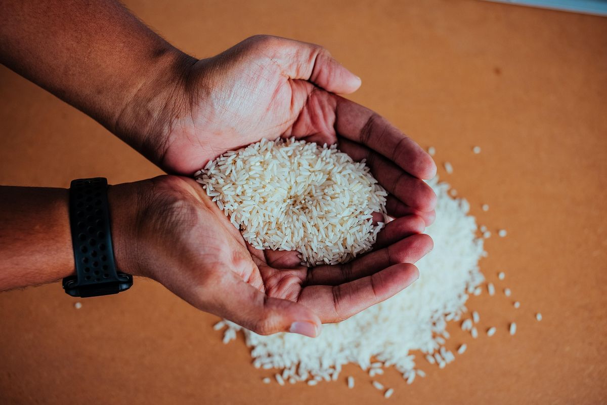 beras, Sulsel, harga beras, Beras, Harga beras, krisis pangan, beras mahal, harga beras naik 2025, beras Sulsel, harga beras sulsel, produksi beras sulsel 2023, harga beras Luwu Enrekang, permainan harga beras, pemantauan harga beras, Harga Beras Pecah Rekor di Sulsel, Tembus Rp17.000 Meski Klaim Surplus 932 Ribu Ton, Pemprov Sulsel Salurkan Beras Program SPHP, Pengamat: Ada Permainan Harga di Balik Lonjakan Beras, SPHP Dianggap Terlambat, Warga Merugi, Sulsel Surplus Padi, Tapi Harga Naik, Pemprov Siapkan 5.000 Ton Benih Mandiri, Serapan Bulog Tembus 576 Persen, Gudang Penuh