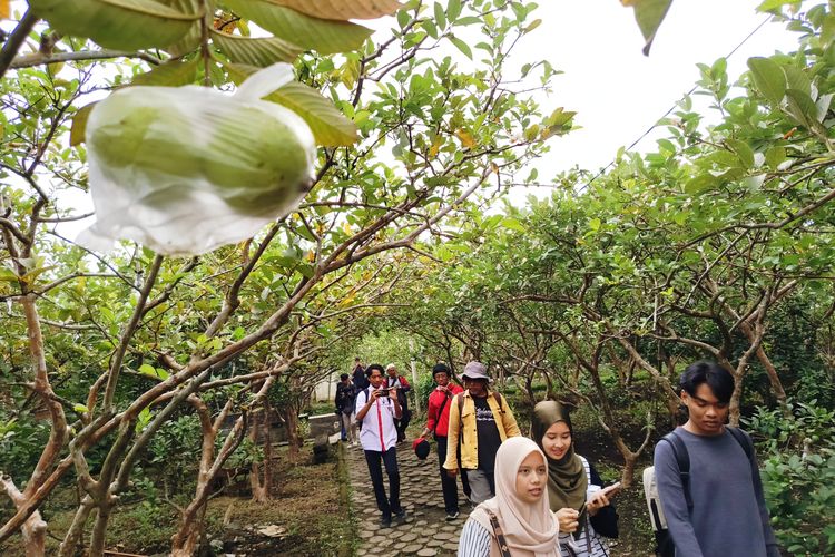 desa wisata, Indonesia, fotografi, Desa Wisata, Ekspektasi vs Realita, Menguak Peran Fotografi dalam Promosi Desa Wisata