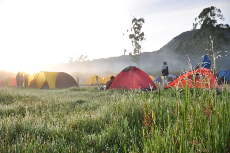 wisata Bandung, wisata bandung, tempat wisata di Bandung, Tempat Wisata Bandung, 10 Tempat Wisata Bandung dengan Nuansa Alam, Pas untuk Libur Panjang, 1. Orchid Forest Lembang, 2. Zona 235 Cikole, 3. Grafika Cikole, 4. Dago Dreampark, 5. Happy Farm Ciwidey, 6. Ranca Upas Ciwidey, 7. Perkebunan Teh Rancabali, 8. Ecopark Curug Tilu, 9. Kawah Putih Ciwidey, 10. Wayang Windu Panenjoan