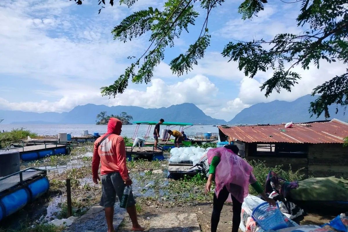 Cuaca ekstrem, Danau Maninjau, Kabupaten Agam, petani keramba, bencana hidrometeorologi, Petani Keramba di Agam Rugi Rp 33 Miliar, Ribuan Ton Ikan Mati Akibat Cuaca Ekstrem