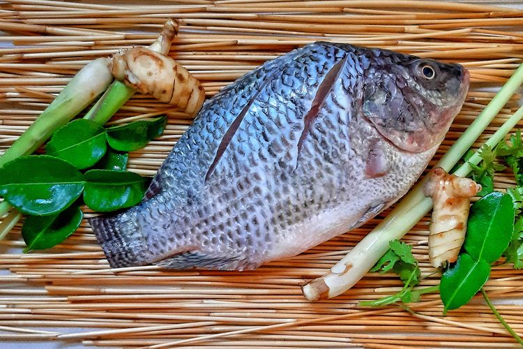 Cara membersihkan sisik ikan, cara membersihkan sisik ikan, ara Mudah Membersihkan Sisik Ikan, cara membersihkan sisik ikan yang keras, Cara Mudah Membersihkan Sisik Ikan yang Keras, Bebas Ribet, 1. Rendam ikan dengan garam dan perasan jeruk nipis, 2. Gunakan talenan kayu sebagai alas, 3. Kerik sisik dari ekor ke kepala menggunakan bagian belakang pisau, 4. Cuci ikan di bawah air mengalir