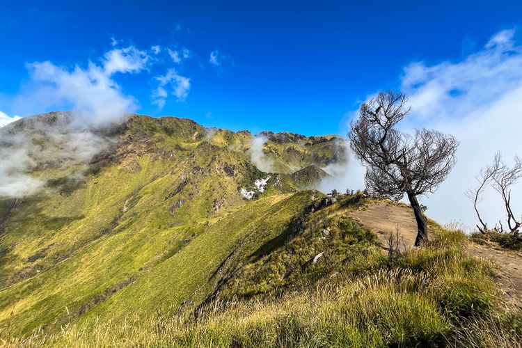 Gunung Merbabu, Merbabu, Jalur pendakian resmi merbabu, 4 Jalur Pendakian Resmi Merbabu, Jangan Mendaki Lewat Jalur Ilegal, 1. Jalur Selo, 2. Jalur Suwanting, 3. Jalur Thekelan, 4. Jalur Wekas