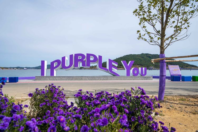 Mau Jalan-jalan ke Korea Selatan, Kapan Waktu Paling Tepat?