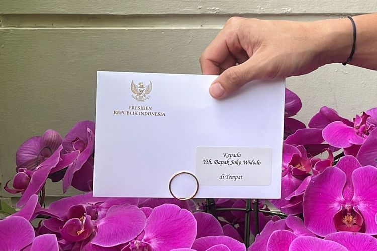 Joko Widodo, Stevens Johnson Syndrome, penyakit autoimun, alergi joko widodo, wajah joko widodo, alergi kulit jokowi, perubahan wajah jokowi, perubahan wajah jokowi akibat alergi kulit, Peradangan Wajah Jokowi karena Alergi, Ajudan Tegaskan Tak Terkait Autoimun