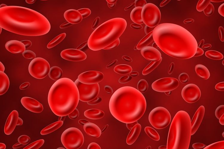 anemia, Prilly Latuconsina, gejala anemia, penyebab anemia, pencegahan anemia, prilly latuconsina sakit apa, prilly latuconsina sakit, bahaya anemia pada orang dewasa, Prilly Latuconsina Sempat Sakit, Dokter Ingatkan Bahaya Anemia bagi Orang Dewasa, Prilly Latuconsina dirawat di rumah sakit, Anemia bisa mengganggu aktivitas harian, Gejala anemia yang sering diabaikan, Kapan harus ke dokter ketika anemia?, Mencegah lebih baik