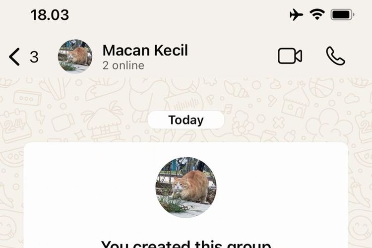 WhatsApp, status Online grup WA, status Online grup WhatsApp, Tampilan status Online grup WA, Status Online grup WA, status online grup WhatsApp, status online grup WA, tampilan status online grup wa, WhatsApp Grup kini Muncul Status Online, Begini Tampilannya