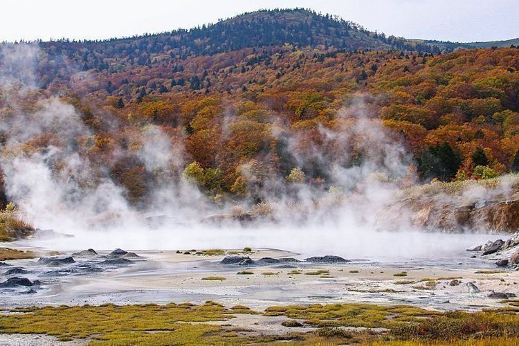 wisata jepang, wisata musim gugur di jepang, musim gugur jepang bulan apa, musim gugur jepang berapa derajat, musim gugur jepang kapan, Mau Liburan Murah ke Jepang? Pilih Musim Ini Biar Hemat Bujet