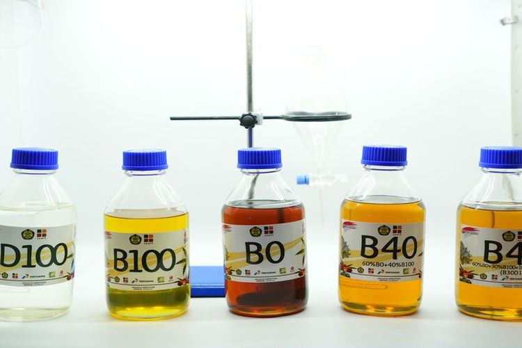 biodiesel, ESDM, kendaraan bermotor, B50 diterapkan 2026, Pemerintah Targetkan Program Mandatori Biodiesel B50 Mulai 2026