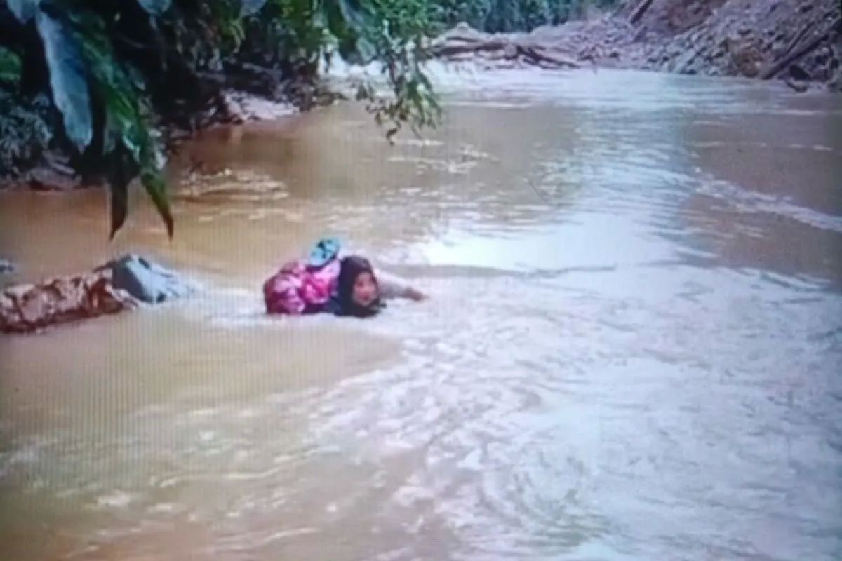Dona Lubis, pasien tuberkulosis, Tenaga Kesehatan, tenaga kesehatan, bidan Dona, video viral, bidan dona, dona lubis, Bertaruh Nyawa Demi Pasien: Aksi Bidan Dona Lubis Seberangi Sungai Tanpa Jembatan