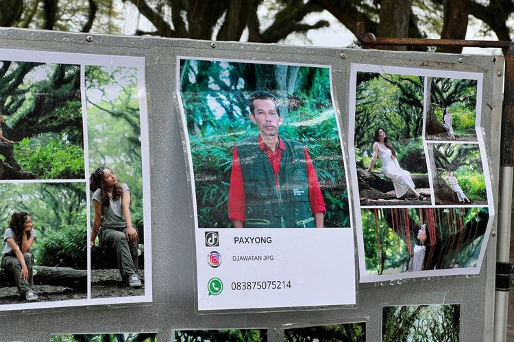 De Djawatan, Jasa Fotografi di De Djawatan, de djawatan banyuwangi, Ingin Foto Keren di De Djawatan Banyuwangi, Wisatawan Bisa Sewa Fotografer Murah