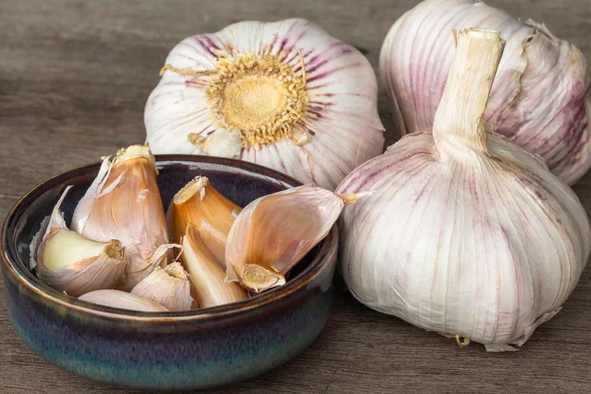 bawang putih, Bawang putih, bawang putih kecil, manfaat bawang putih kecil, sebab bawang putih kecil, Mengapa Ada Siung Bawang Putih yang Sangat Kecil? Ini Penjelasan Ahli, Dua jenis bawang putih, Kelebihan siung bawang putih yang kecil, Cara membedakan bawang softneck dan hardneck, Kesimpulan