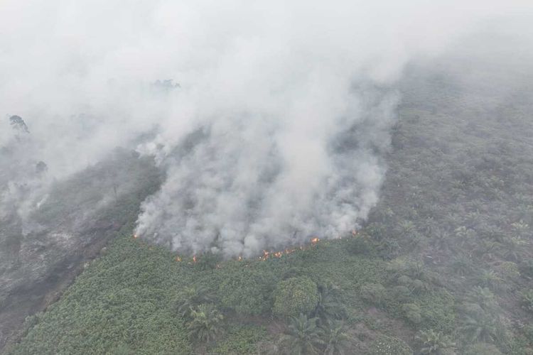 karhutla Aceh 2025, kebakaran hutan aceh, lahan terbakar Aceh, karhutla Aceh hari ini, titik api Aceh terbaru, pemadaman kebakaran hutan Aceh, penyebab karhutla Aceh Selatan, Karhutla Aceh Selatan Capai 65 Hektare, Pemadaman Terkendala Minimnya Air, Karhutla meluas ke tiga desa, Pemadaman terkendala sumber air dan angin kencang, Titik api terus meningkat, Sebagian titik api sudah padam, Penyebab kebakaran masih diselidiki, Koordinasi BNPB dengan petugas gabungan