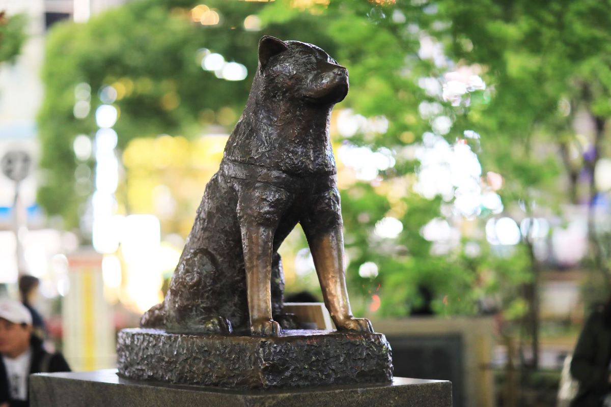wisata jepang, wisata tokyo, Hachiko, Patung Hachiko, kisah anjing hachiko, Patung Hachiko di Tokyo, Kisah Anjing Paling Setia di Dunia yang Bikin Haru Wisatawan