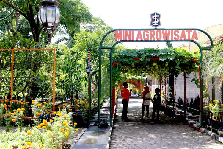 bangkok, Surabaya, rute baru AirAsia, Indonesia AirAsia, Rute AirAsia dari Surabaya ke Bangkok PP, Terbang Empat Kali Seminggu